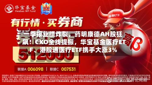一季报业绩炸裂	，药明康德AH股狂飙！CXO全线提振，华宝基金医疗ETF、港股通医疗ETF携手大涨3%-第3张图片