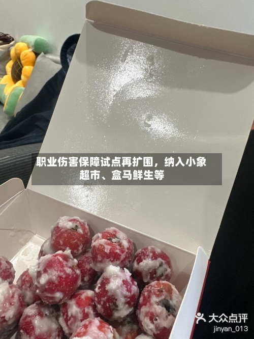 职业伤害保障试点再扩围，纳入小象超市、盒马鲜生等