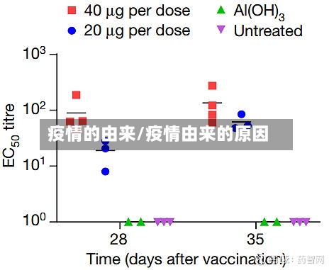 疫情的由来/疫情由来的原因