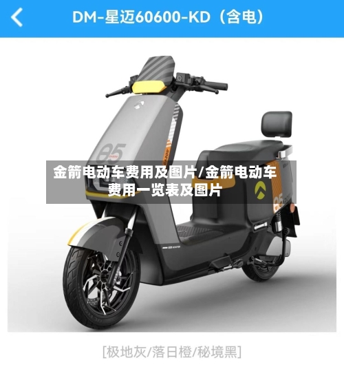 金箭电动车费用及图片/金箭电动车费用一览表及图片-第2张图片