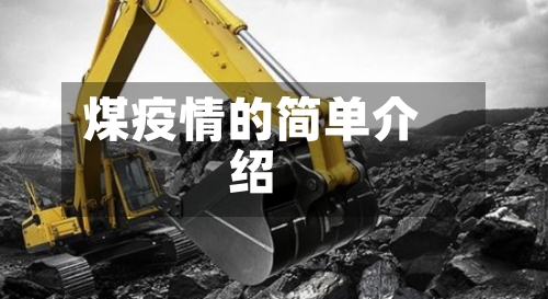 煤疫情的简单介绍