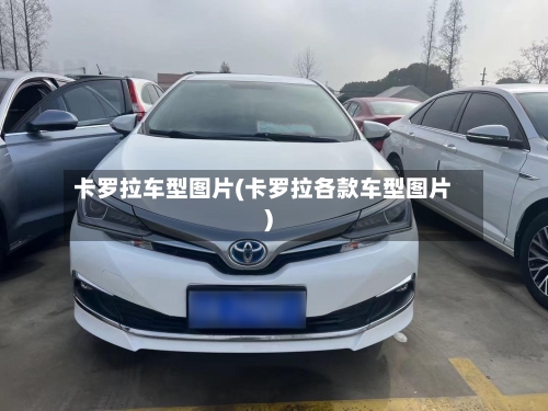 卡罗拉车型图片(卡罗拉各款车型图片)-第2张图片