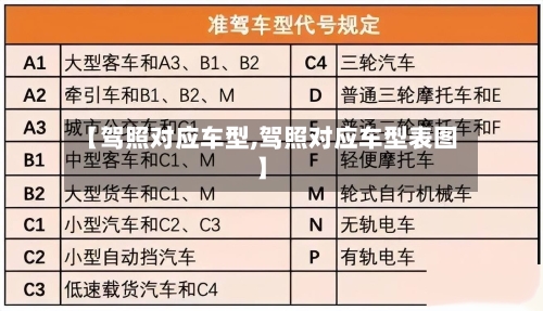 【驾照对应车型,驾照对应车型表图】-第2张图片