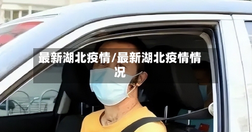 最新湖北疫情/最新湖北疫情情况