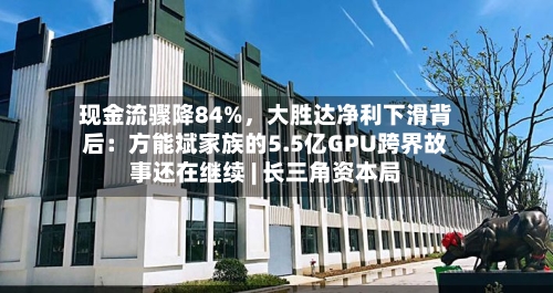 现金流骤降84%，大胜达净利下滑背后：方能斌家族的5.5亿GPU跨界故事还在继续 | 长三角资本局-第2张图片