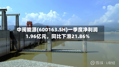 中闽能源(600163.SH)一季度净利润1.96亿元，同比下滑21.86%