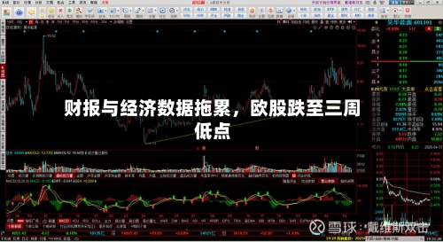财报与经济数据拖累，欧股跌至三周低点-第2张图片