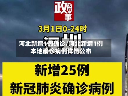 河北新增1例确诊/河北新增1例本地确诊病例详情公布-第2张图片