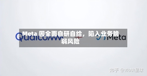 Meta 因全面自研自给，陷入业务脆弱风险