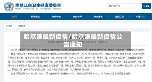 哈尔滨最新疫情/哈尔滨最新疫情公告通知-第2张图片