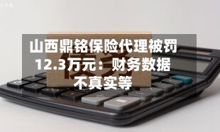 山西鼎铭保险代理被罚12.3万元：财务数据不真实等