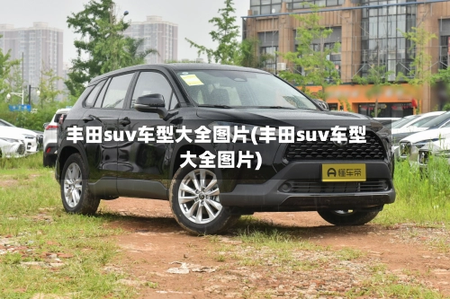 丰田suv车型大全图片(丰田suv车型大全图片)