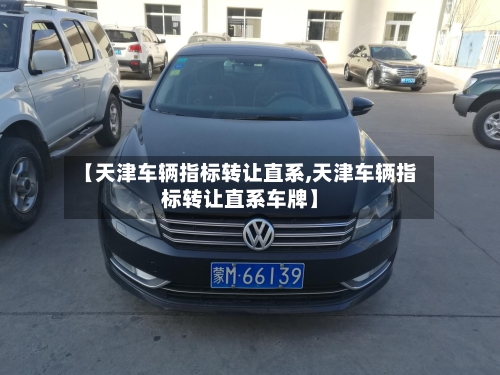 【天津车辆指标转让直系,天津车辆指标转让直系车牌】-第3张图片