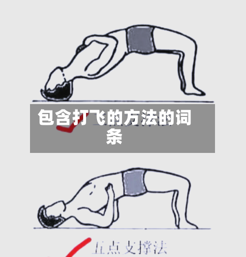 包含打飞的方法的词条