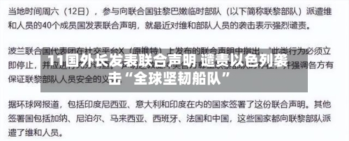 11国外长发表联合声明 谴责以色列袭击“全球坚韧船队”