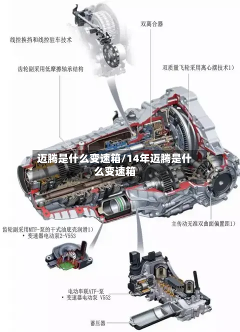 迈腾是什么变速箱/14年迈腾是什么变速箱-第2张图片
