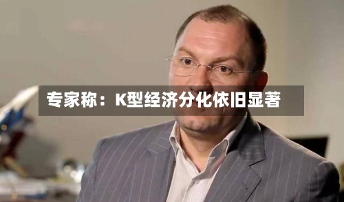 专家称：K型经济分化依旧显著