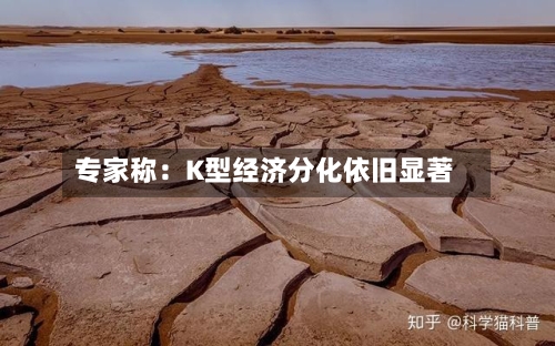 专家称：K型经济分化依旧显著-第2张图片