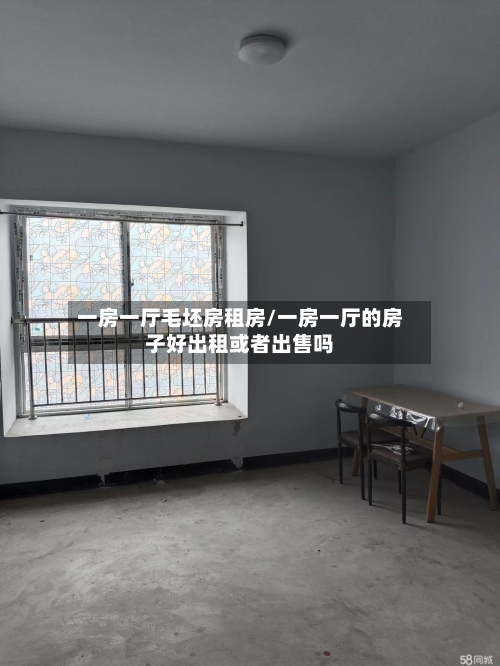 一房一厅毛坯房租房/一房一厅的房子好出租或者出售吗
