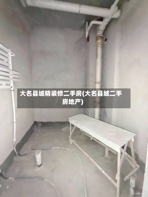 大名县城精装修二手房(大名县城二手房地产)