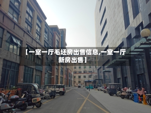 【一室一厅毛坯房出售信息,一室一厅新房出售】