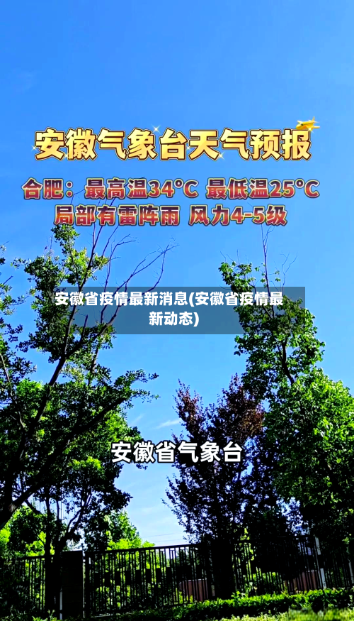 安徽省疫情最新消息(安徽省疫情最新动态)-第2张图片