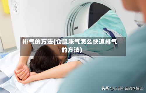 排气的方法(仓鼠胀气怎么快速排气的方法)-第1张图片