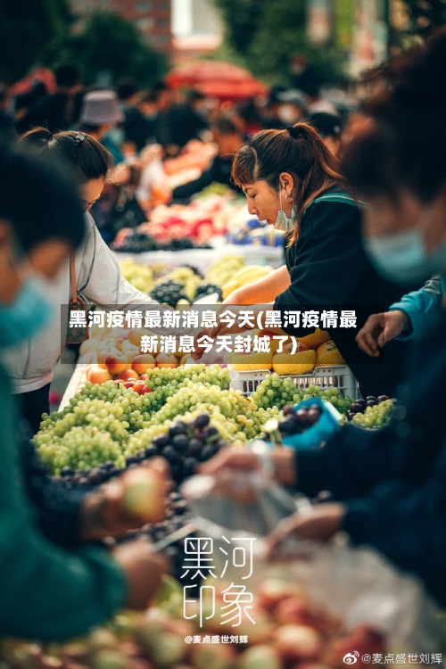 黑河疫情最新消息今天(黑河疫情最新消息今天封城了)
