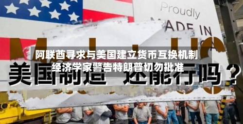 阿联酋寻求与美国建立货币互换机制 经济学家警告特朗普切勿批准-第2张图片