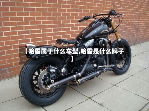 【哈雷属于什么车型,哈雷是什么牌子】-第3张图片