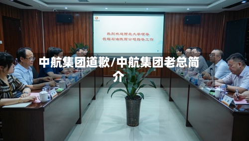 中航集团道歉/中航集团老总简介-第2张图片