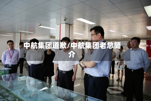 中航集团道歉/中航集团老总简介