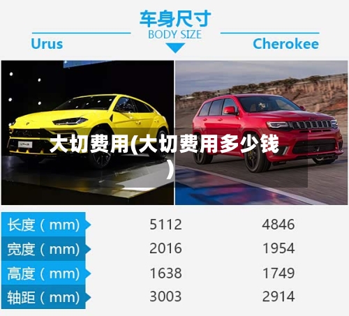 大切费用(大切费用多少钱)
