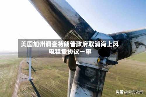 美国加州调查特朗普政府取消海上风电租赁协议一事