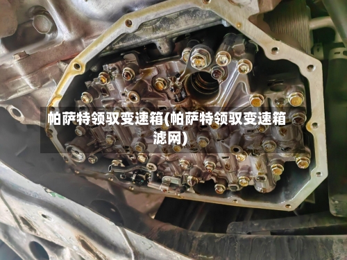 帕萨特领驭变速箱(帕萨特领驭变速箱滤网)