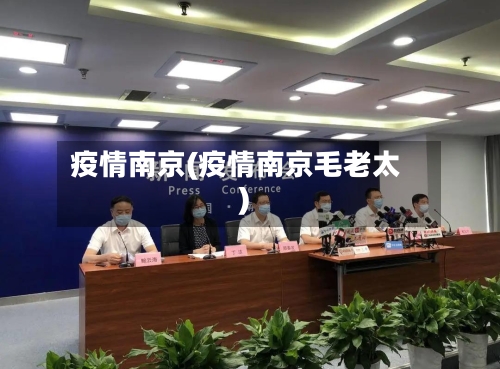 疫情南京(疫情南京毛老太)