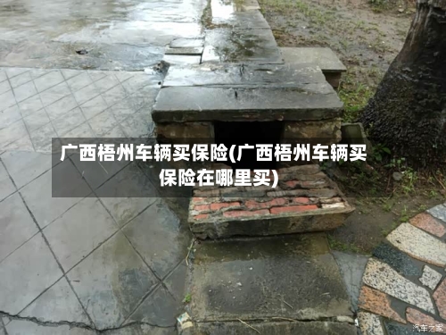 广西梧州车辆买保险(广西梧州车辆买保险在哪里买)