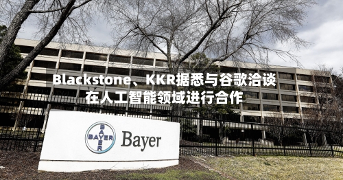 Blackstone	、KKR据悉与谷歌洽谈在人工智能领域进行合作-第2张图片