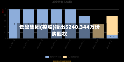 长盈集团(控股)授出5240.344万份购股权