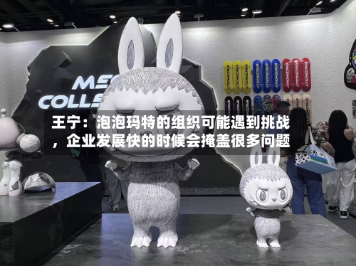 王宁：泡泡玛特的组织可能遇到挑战，企业发展快的时候会掩盖很多问题