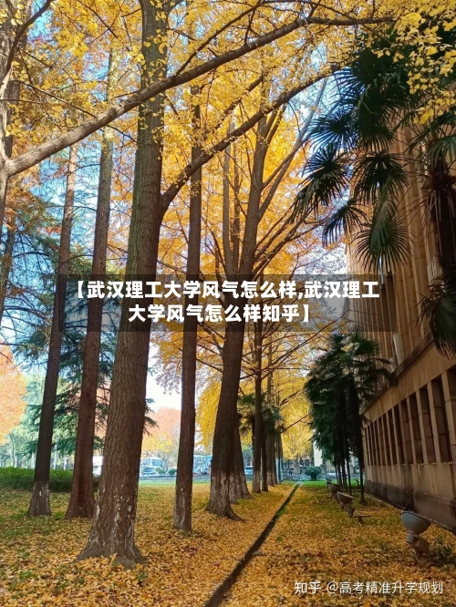 【武汉理工大学风气怎么样,武汉理工大学风气怎么样知乎】