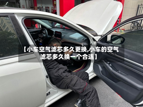 【小车空气滤芯多久更换,小车的空气滤芯多久换一个合适】