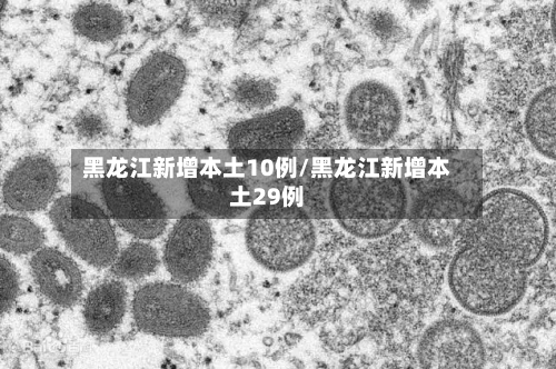 黑龙江新增本土10例/黑龙江新增本土29例