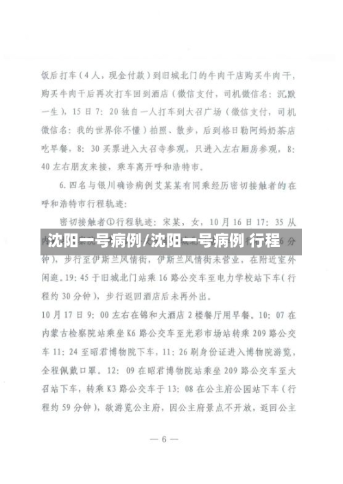 沈阳一号病例/沈阳一号病例 行程-第3张图片