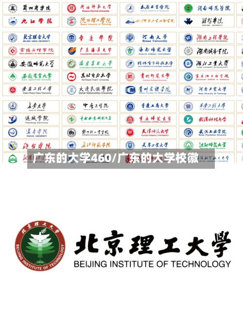 广东的大学460/广东的大学校徽-第2张图片