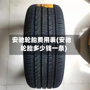 安驰轮胎费用表(安驰轮胎多少钱一条)-第3张图片