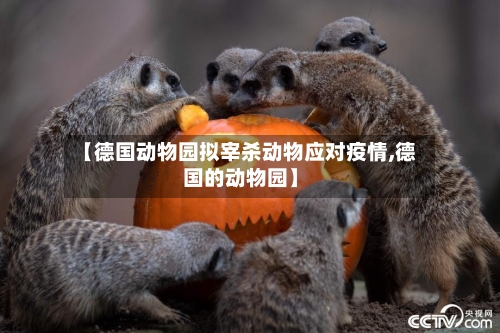 【德国动物园拟宰杀动物应对疫情,德国的动物园】