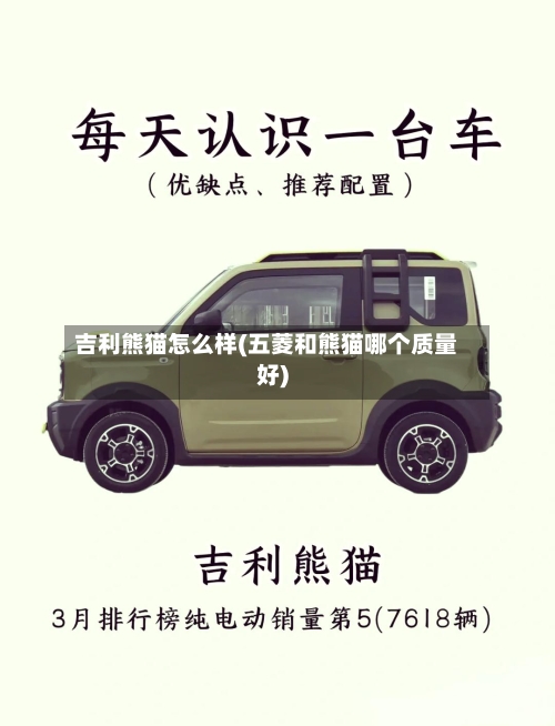 吉利熊猫怎么样(五菱和熊猫哪个质量好)