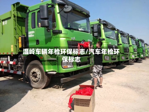 温岭车辆年检环保标志/汽车年检环保标志