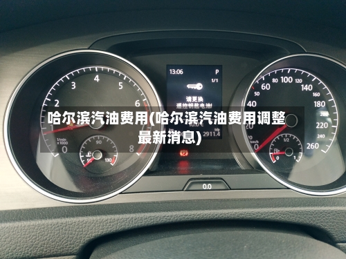 哈尔滨汽油费用(哈尔滨汽油费用调整最新消息)-第3张图片